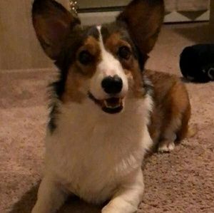 Meet your Posher, Anthony